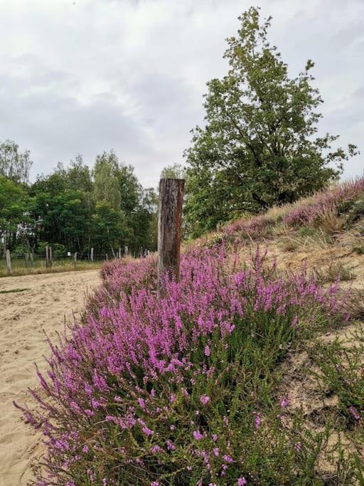 Fewo "Am Bienenstock" In Dallgow-Doberitz Bagian luar foto
