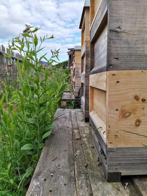 Fewo "Am Bienenstock" In Dallgow-Doberitz Bagian luar foto